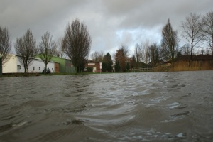 Wilsterau Hochwasser 2014